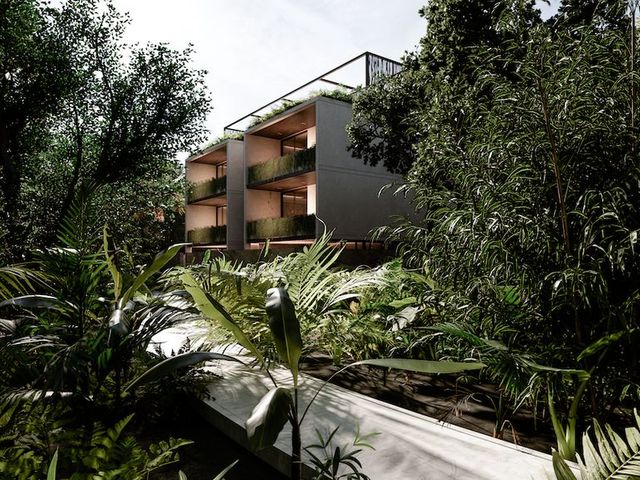 place photo 46
