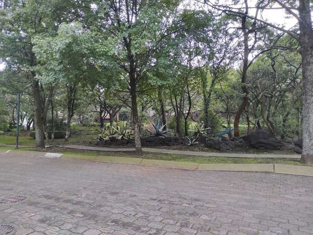 place photo 25