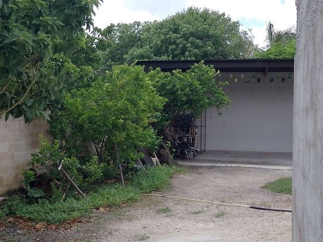 place photo 14