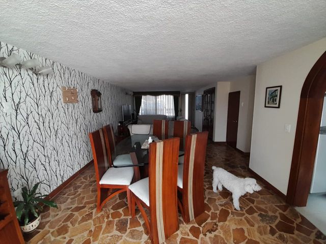 place photo 47