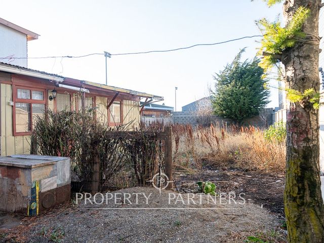 place photo 27