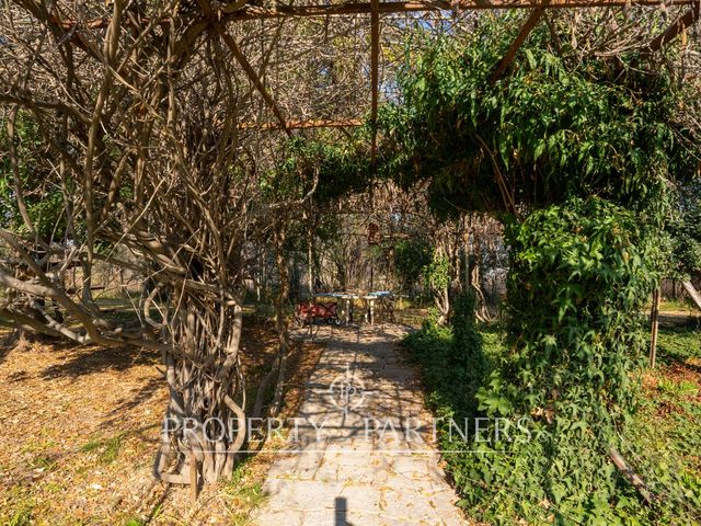 place photo 44