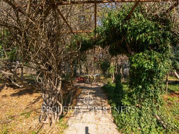 place photo 44