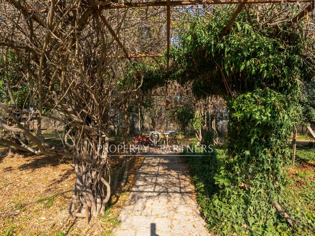 place photo 44