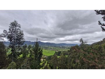 place photo 61
