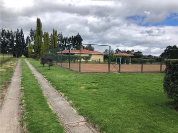 place photo 52