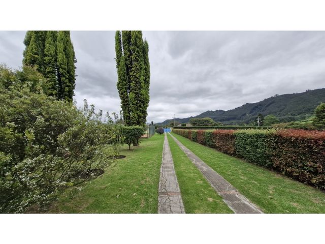 place photo 47