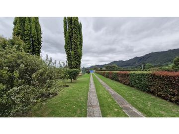 place photo 47