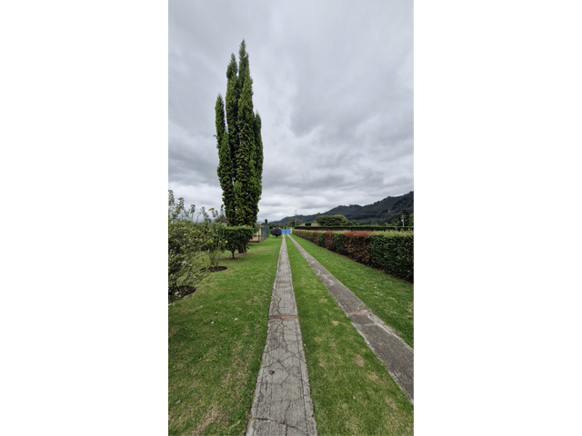 place photo 46
