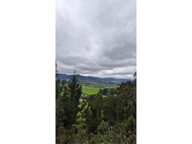 place photo 59