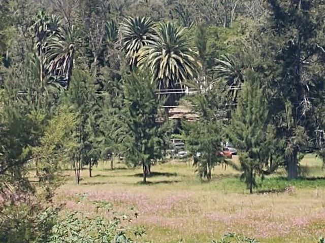 place photo 27