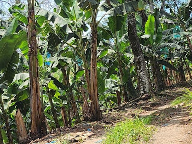 place photo 22