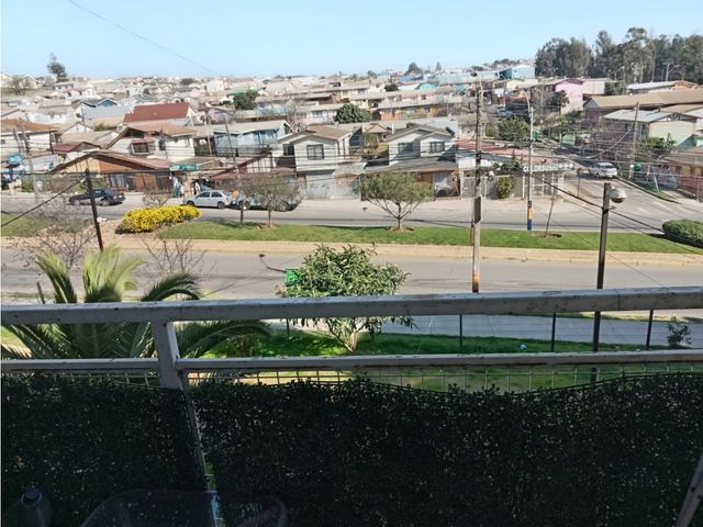 place photo 28