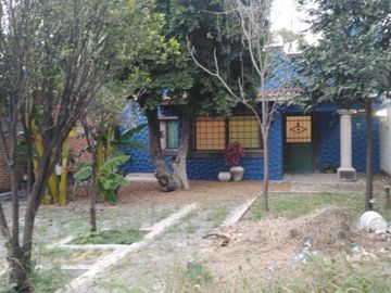 place photo 22
