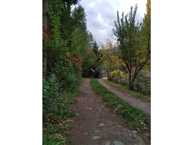 place photo 37