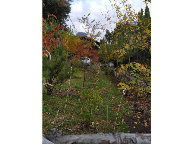 place photo 34