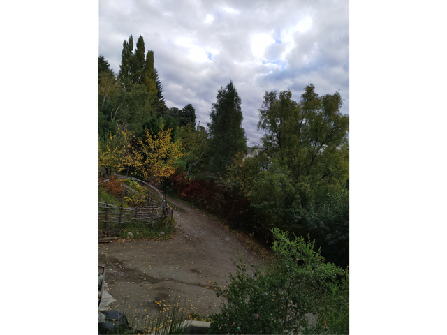 place photo 31