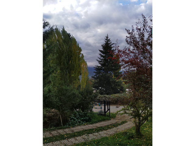 place photo 33