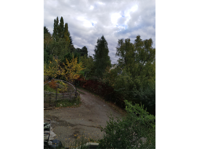 place photo 32