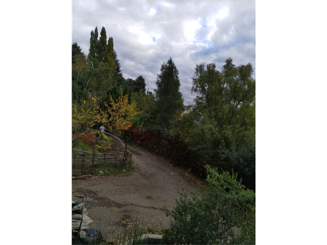 place photo 30