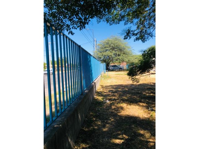 place photo 16
