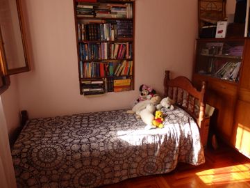 place photo 20
