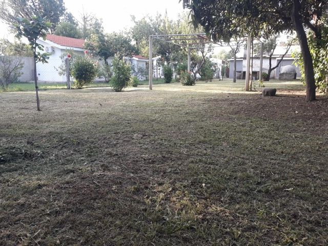 place photo 22