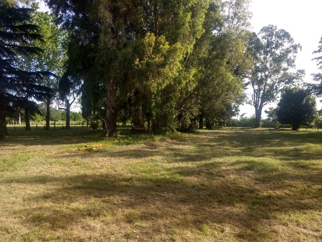 place photo 9