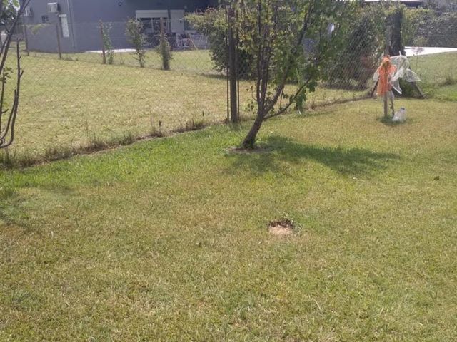 place photo 30