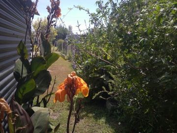 place photo 39