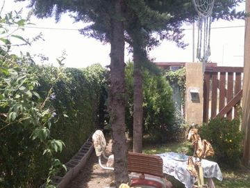 place photo 37
