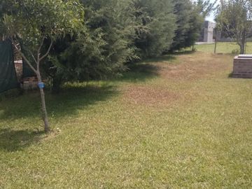 place photo 31