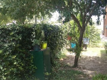 place photo 24