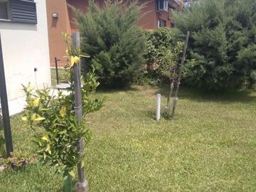 place photo 33