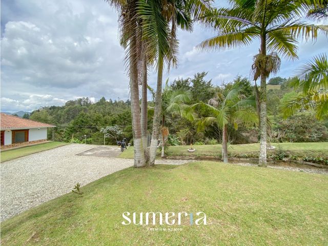 place photo 58
