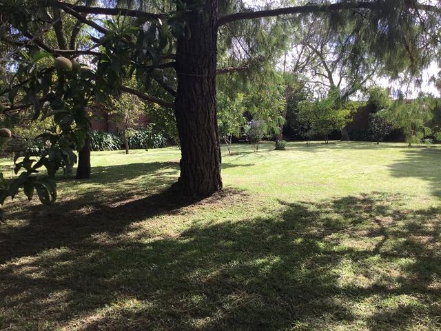 place photo 26