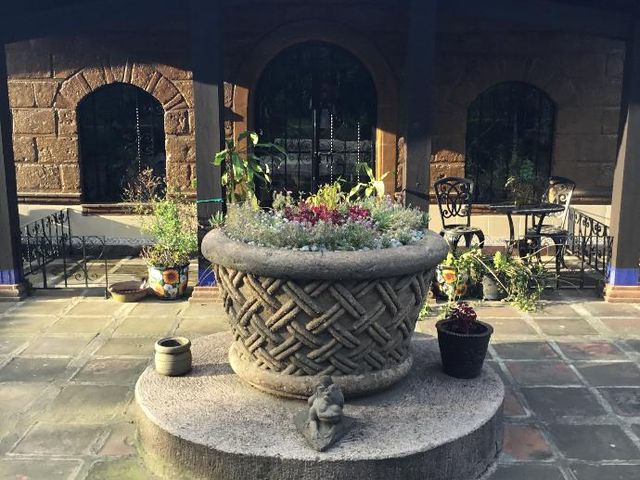 place photo 13