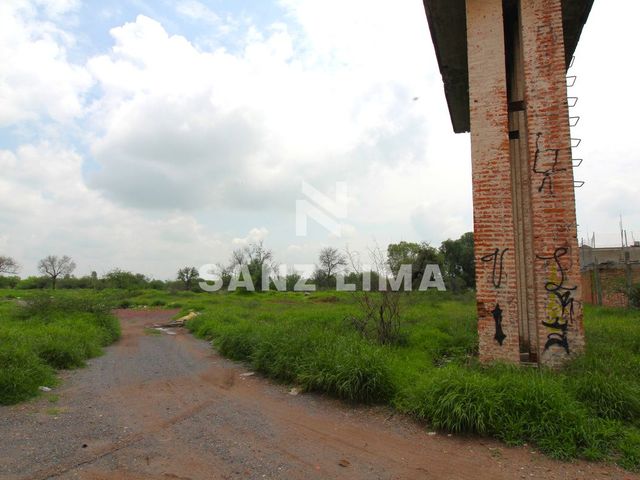 place photo 12