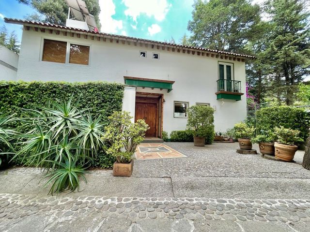 place photo 39