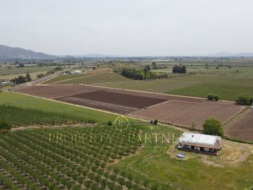 place photo 22