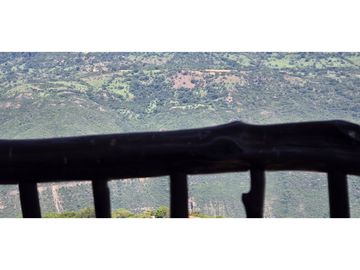 place photo 62
