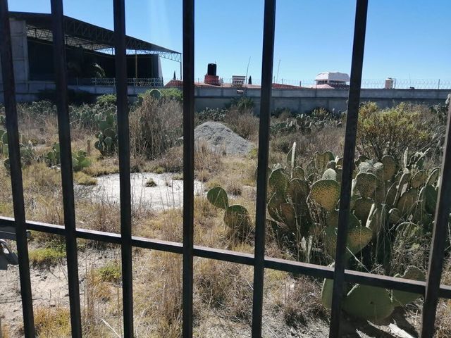 place photo 6