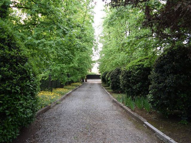 place photo 29