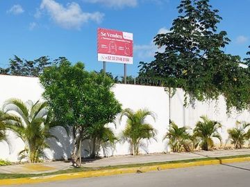 place photo 34