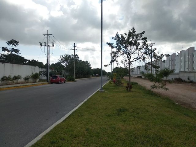 place photo 41