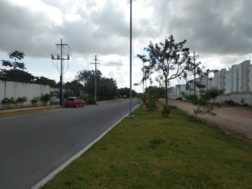 place photo 41