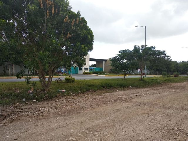 place photo 36