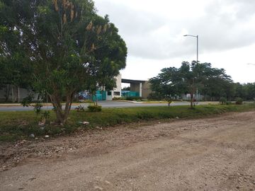 place photo 36