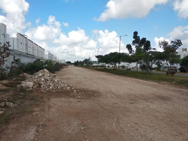 place photo 40