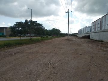 place photo 37